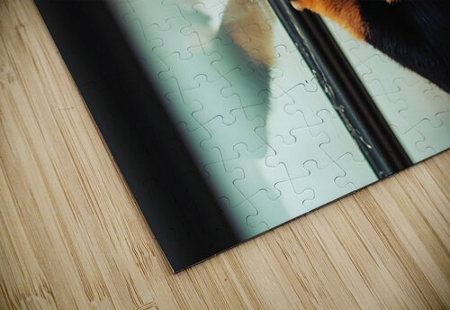 Thoughtful Puppy Contemplates Mysterious Reflection Puppy Prints puzzle