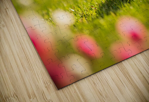 Beagle Puppy Rests After Helicopter Chase Puppy Prints puzzle