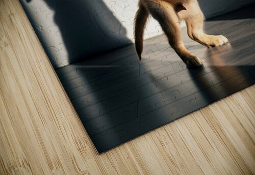 Golden Retriever Puppy Discovers Dancing Wall Shadows Puppy Prints puzzle
