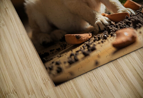 Apologetic Golden Retriever Puppy Looking Sorry Puppy Prints puzzle