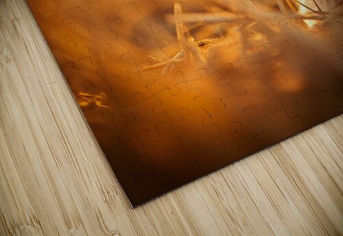 Playful Bichon Frise Puppy Slides Down Haystack Puppy Prints puzzle