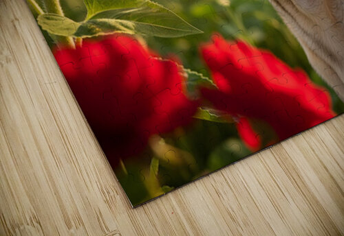 Pug Puppy Discovers Garden Bees Puppy Prints puzzle