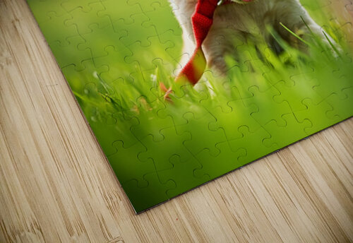 Tired Puppy Rests After Leash Adventure Puppy Prints puzzle