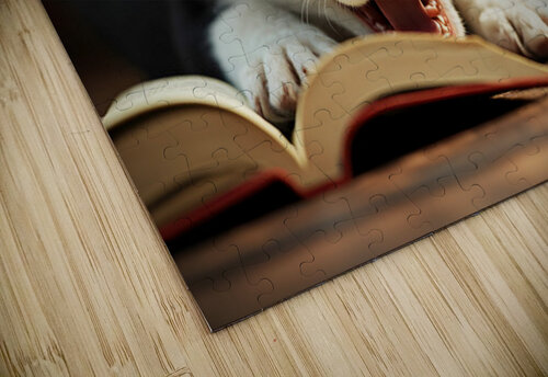 Sleepy Border Collie Puppy Naps On Open Book Puppy Prints puzzle