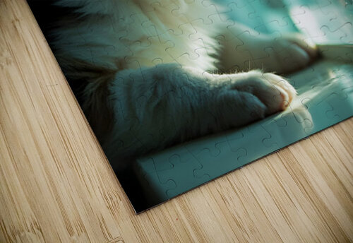 Australian Shepherd Puppy Discovers Amazing Fish Tank Puppy Prints puzzle