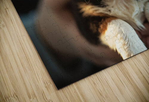 Corgi Puppys First Vet Visit Puppy Prints puzzle