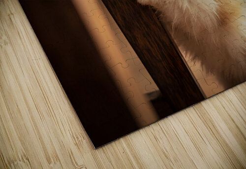 Pomeranian Puppy Watches Family Game Night Fun Puppy Prints puzzle