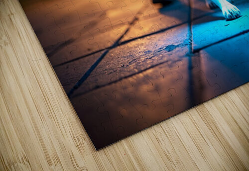 Sleepy Boston Terrier Puppy After Night Adventure Puppy Prints puzzle