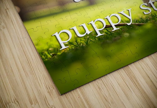 Find Joy Like This Excited Puppy Puppy Prints puzzle