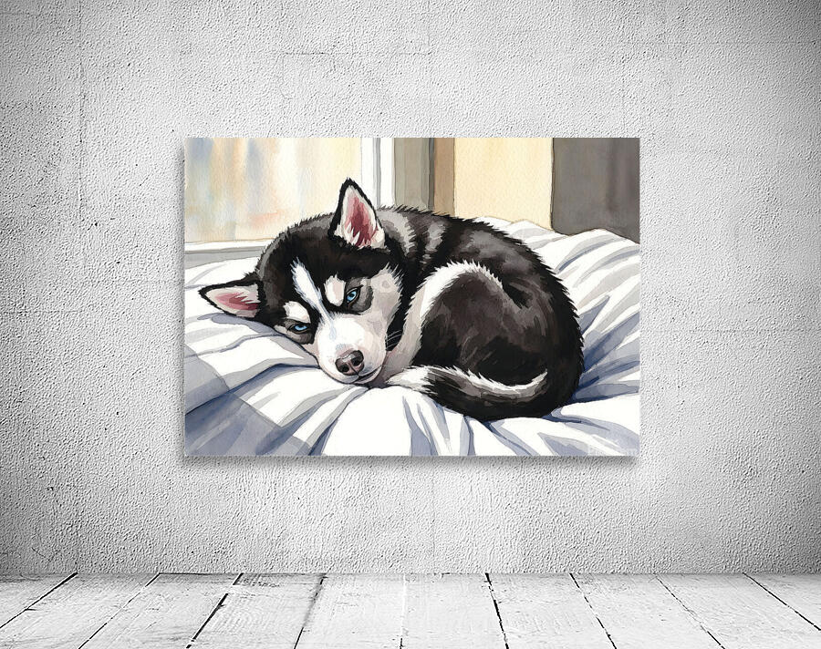 Sleepy Siberian Husky Puppy Napping In Sunbeam Wall Preview