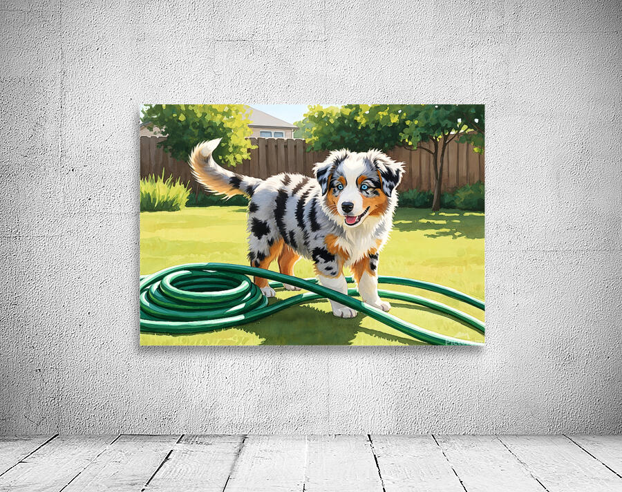 Australian Shepherd Puppy Discovers Garden Hose Wall Preview