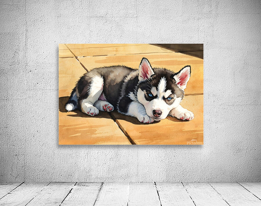 Siberian Husky Puppy Basking In Golden Sunlight Wall Preview