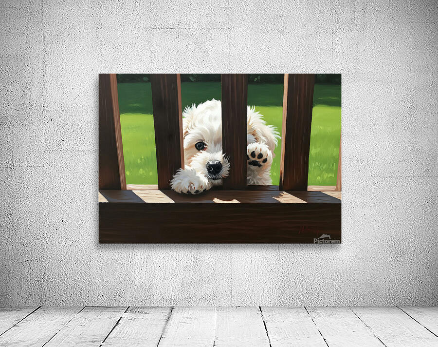 White Bichon Frise Puppy Peeking Through Wooden Fence Wall Preview