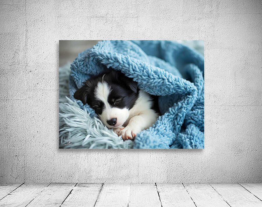 Border Collie Puppy Dreams Under Soft Blanket Wall Preview