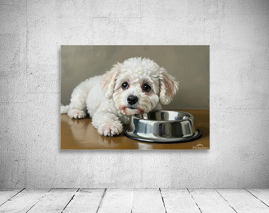 Patient Bichon Frise Puppy Waits By Food Bowl Wall Preview
