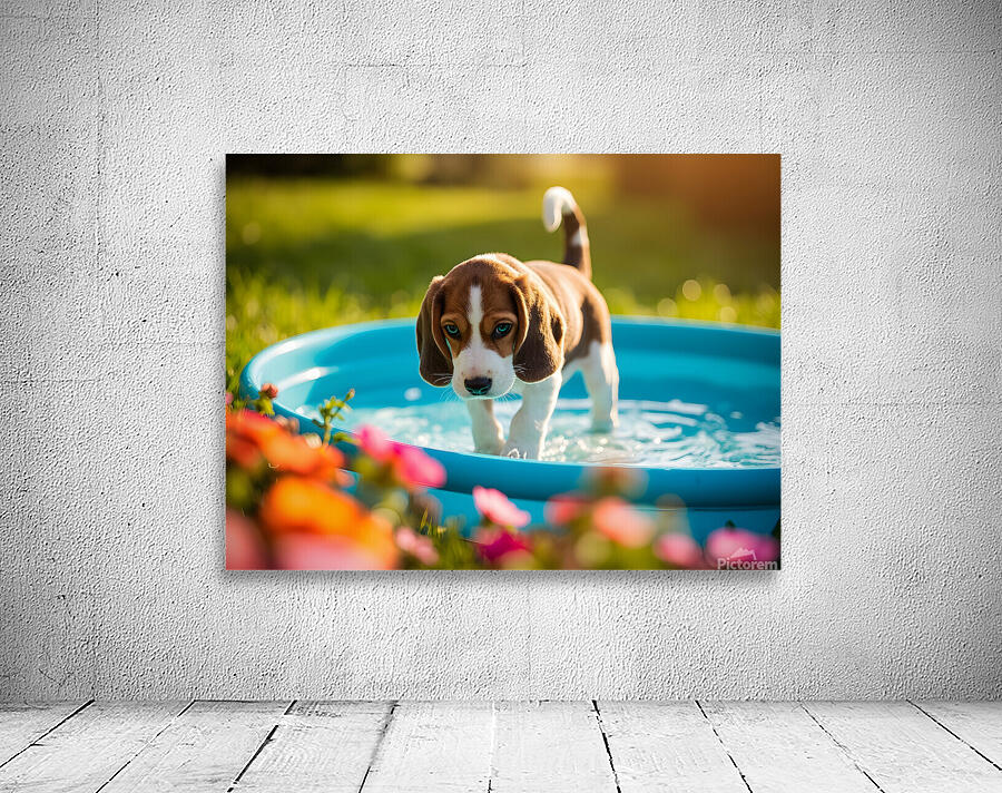 Beagle Puppy Discovers The Kiddie Pool Wall Preview