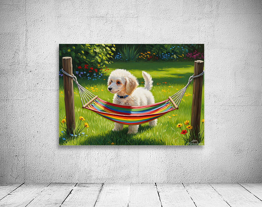 Poodle Puppy Discovers Tiny Hammock Wall Preview