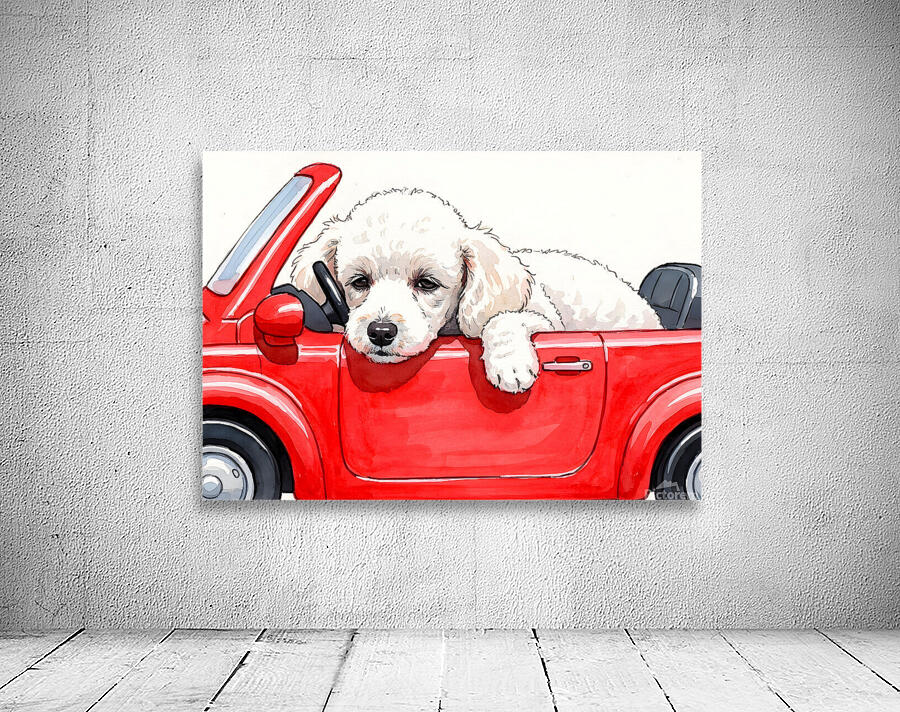 Sleepy Poodle Puppy Rests After Exciting Car Adventure Wall Preview