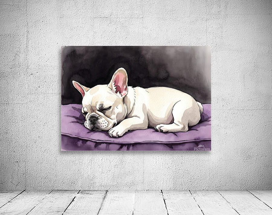 French Bulldog Puppy Sleeps Peacefully Through Night Wall Preview