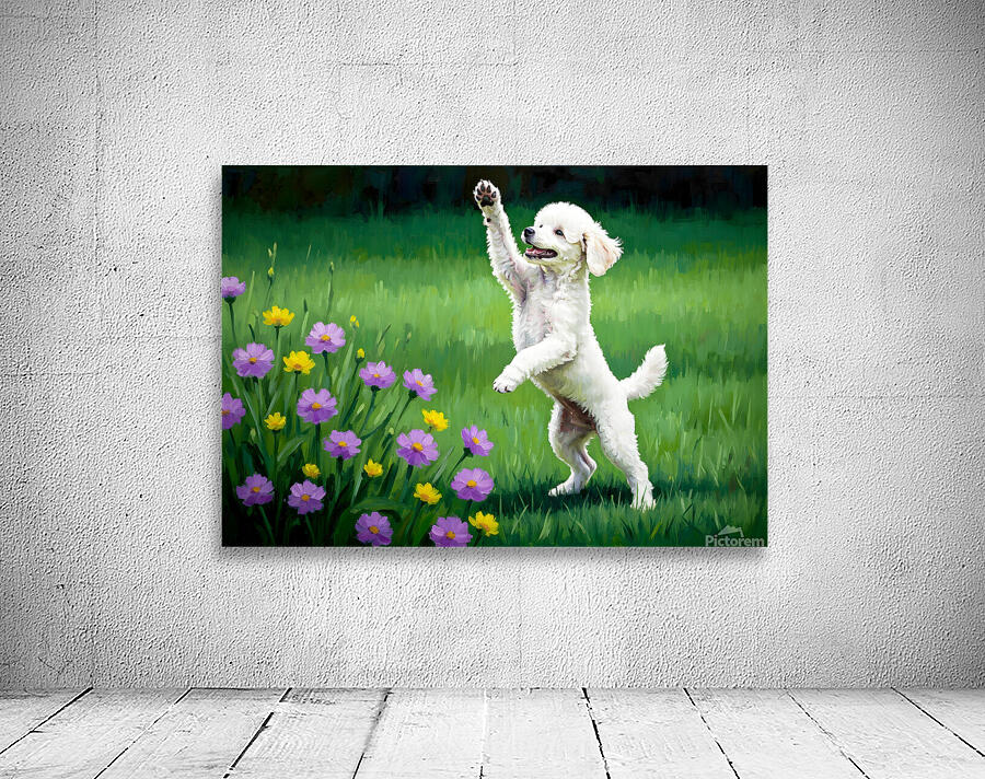 Excited Poodle Puppy Ready To Play Wall Preview