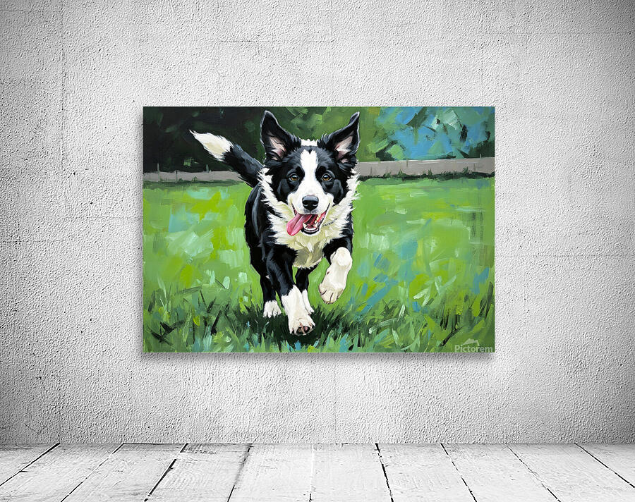 Border Collie Puppy Ready To Chase Wall Preview