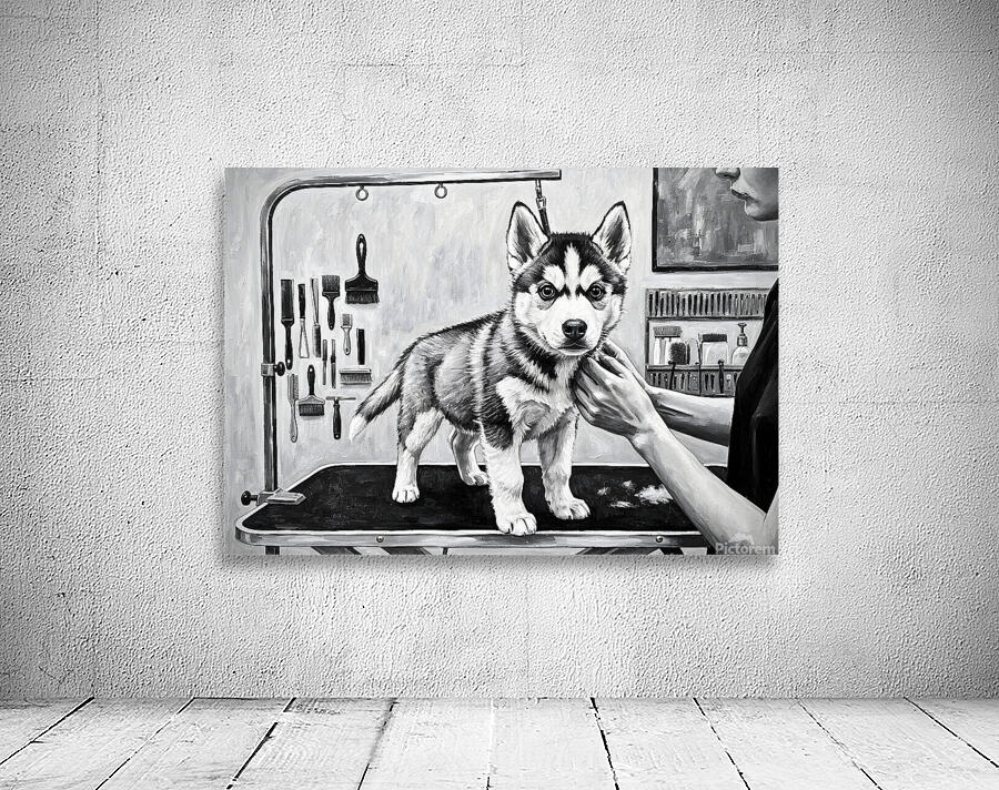 Siberian Husky Puppys First Trip To The Groomer Wall Preview