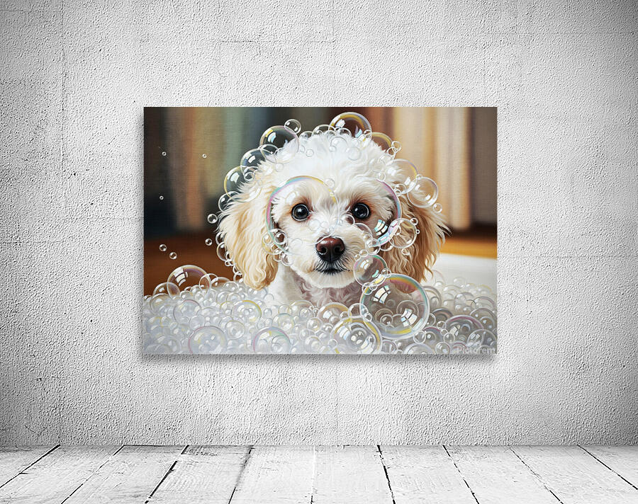 Happy Poodle Puppy After Bubble Adventure Wall Preview