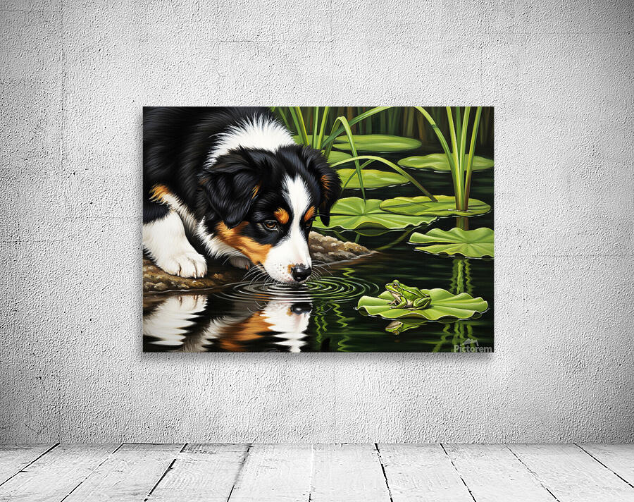 Australian Shepherd Puppy Discovers A Quiet Pond Wall Preview