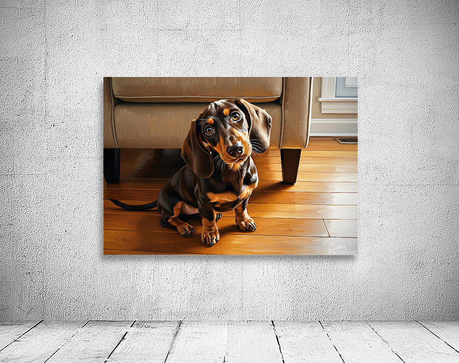 Dachshund Puppy Caught On The Forbidden Sofa Wall Preview