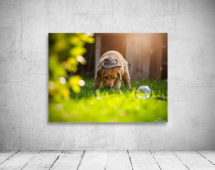 Golden Retriever Puppy Detective Begins Investigation Wall Preview