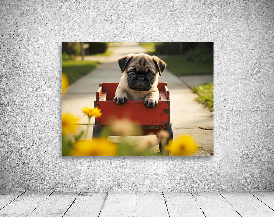 Sleepy Pug Puppy Rests After Wagon Adventure Wall Preview