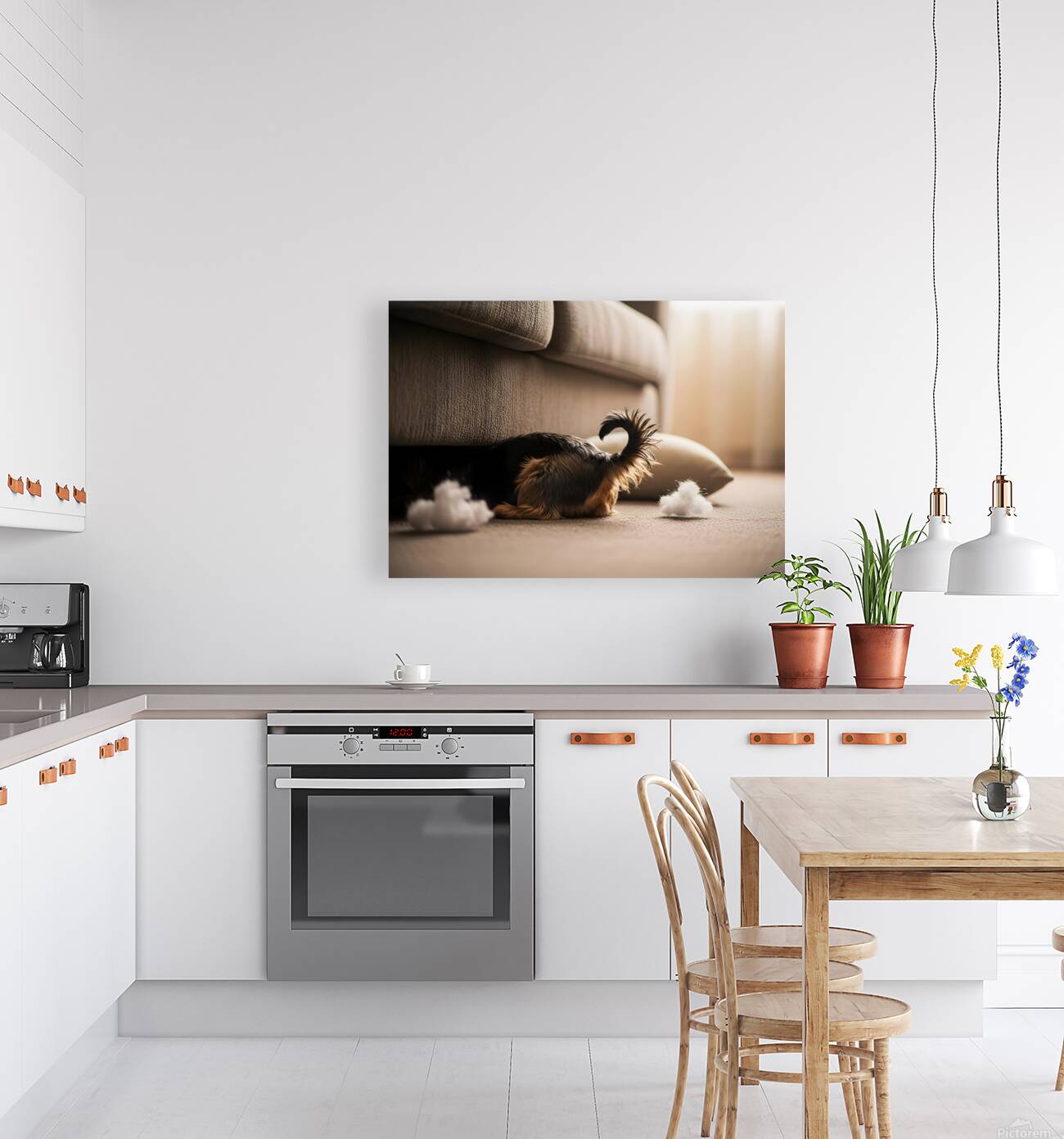 Brown Yorkshire Terrier Puppy Hiding Under Couch After Mess Reproduction
