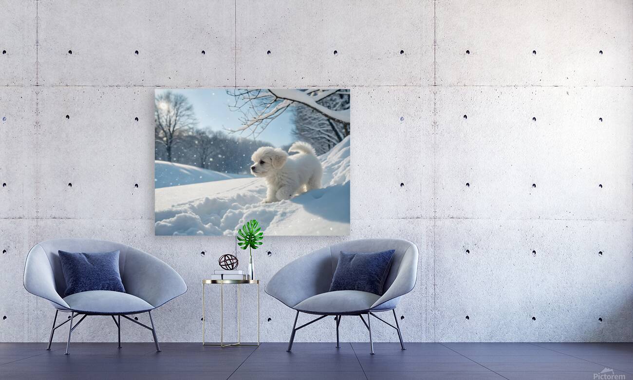 Curious White Bichon Frise Puppy Takes First Steps Into Deep Snow Reproduction