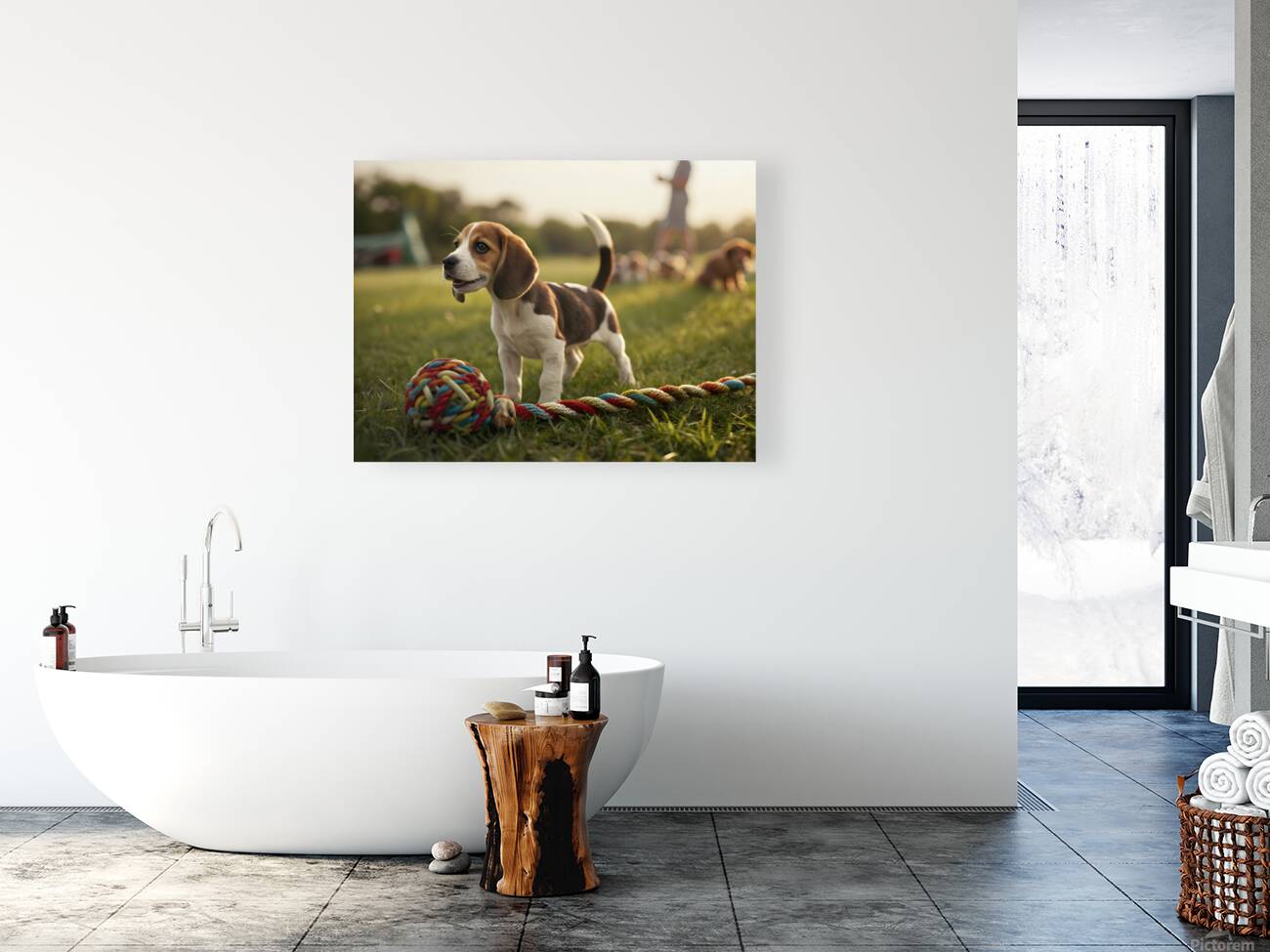 Beagle Puppy Discovers The Fun Rope Toy Reproduction