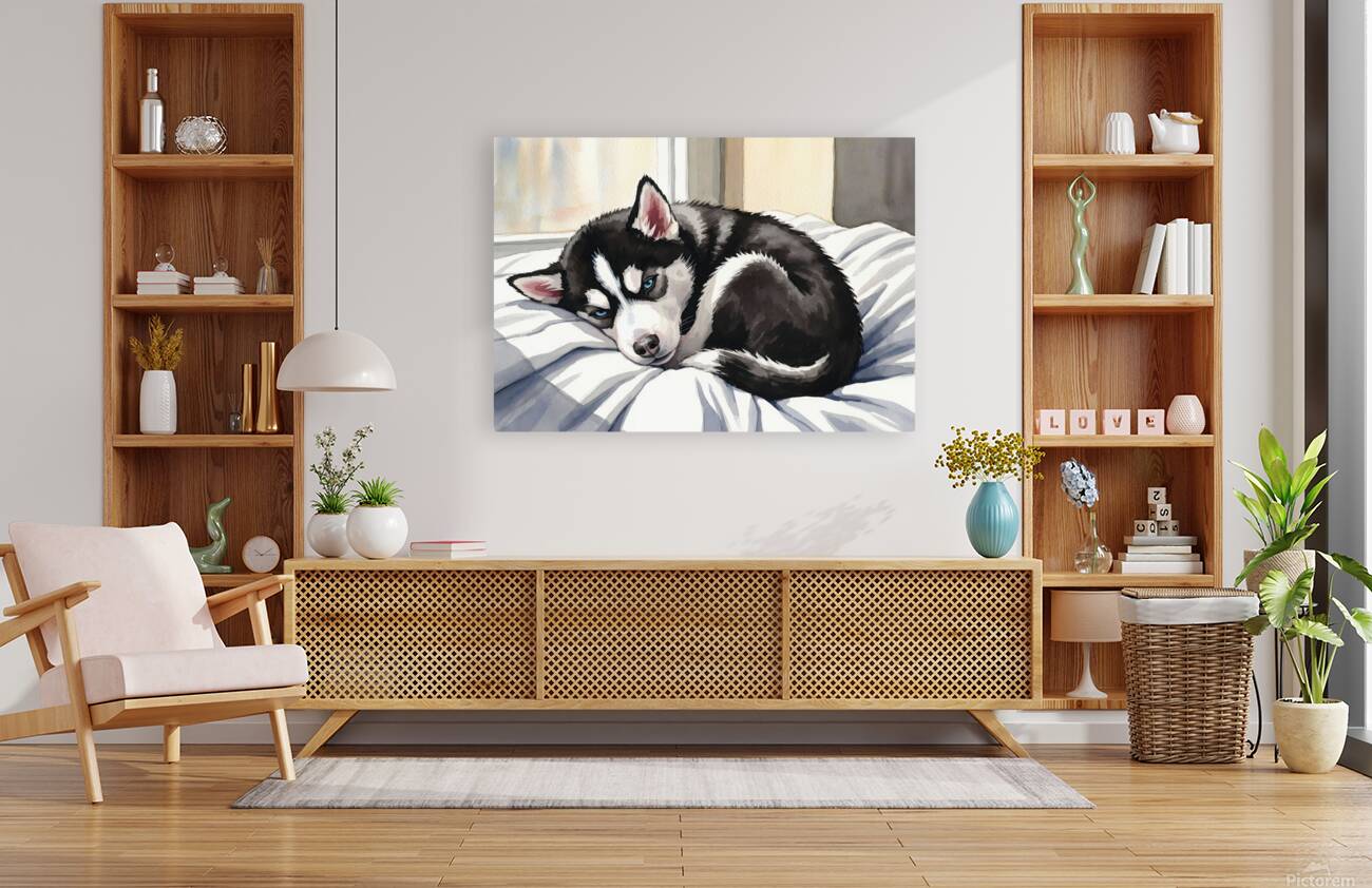 Sleepy Siberian Husky Puppy Napping In Sunbeam Reproduction