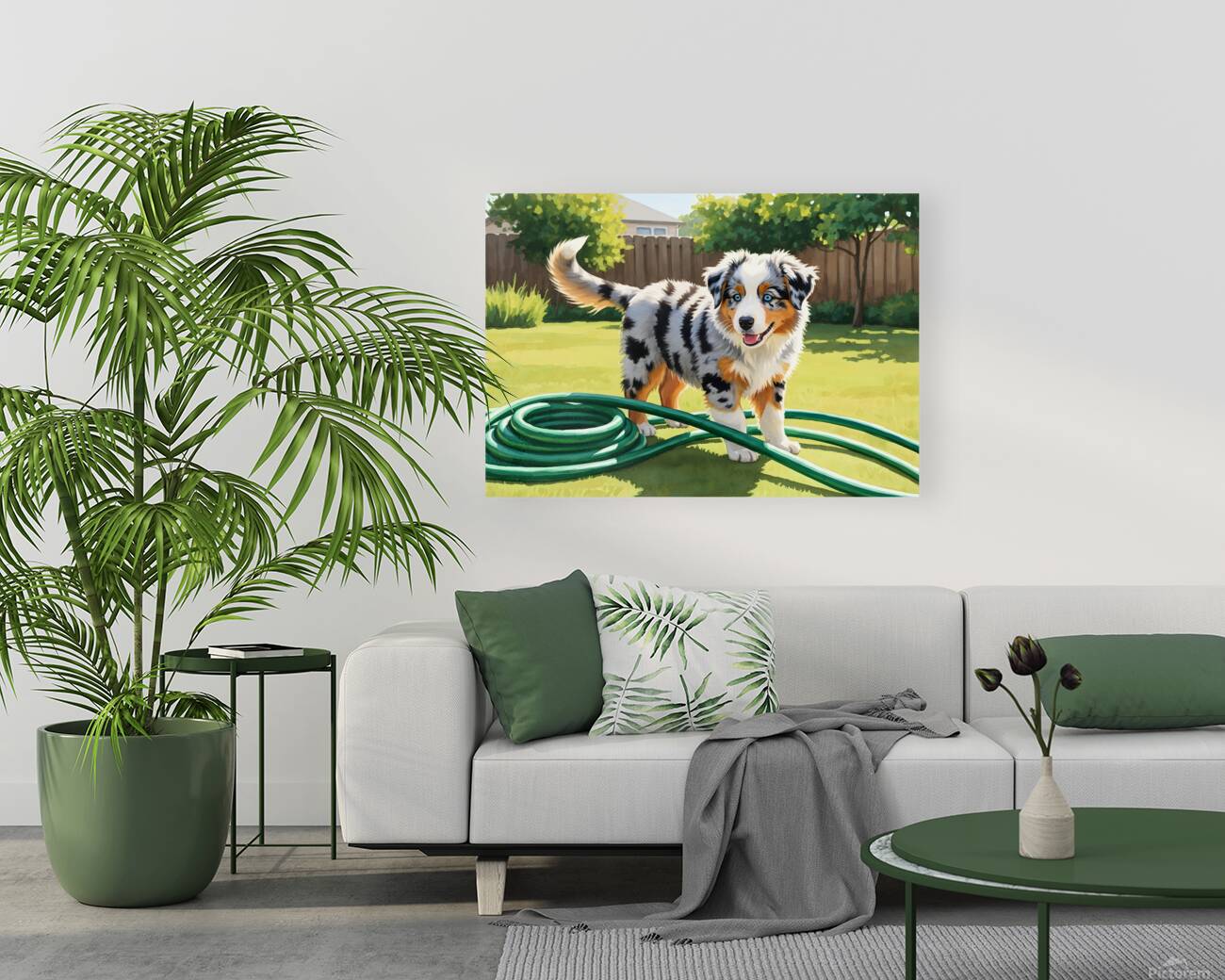 Australian Shepherd Puppy Discovers Garden Hose Reproduction