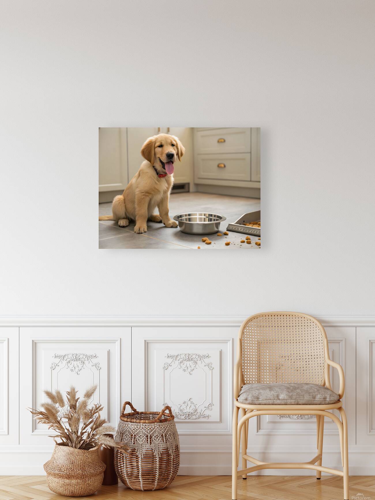 Satisfied Golden Retriever Puppy After Finishing Meal Reproduction