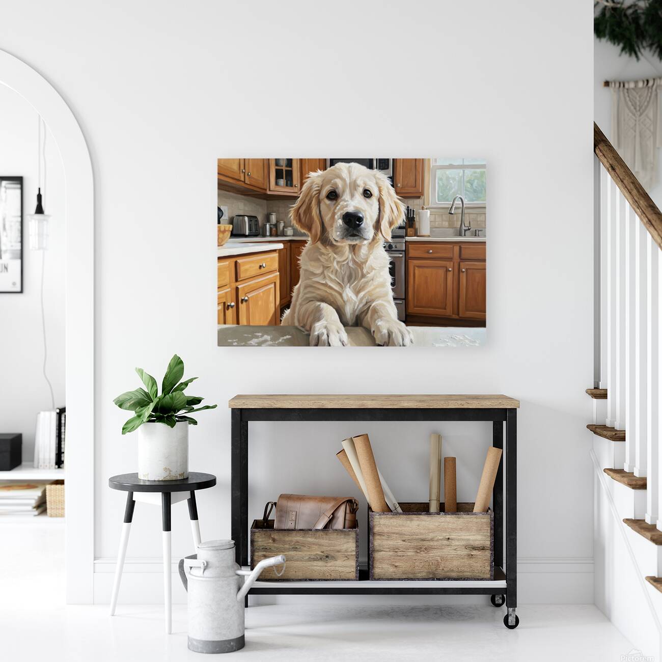Golden Retriever Puppys Kitchen Discovery Reproduction