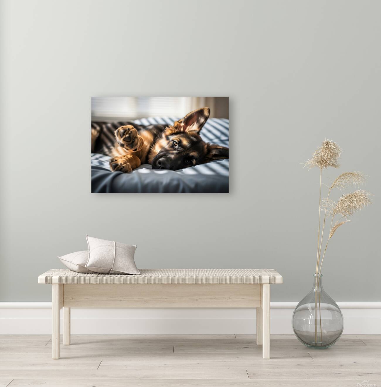 German Shepherd Puppy Waking Up From Nap Reproduction