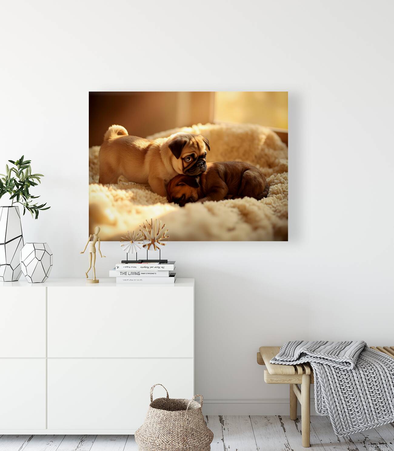 Pug Puppy Gently Wakes Sleeping Friend Reproduction