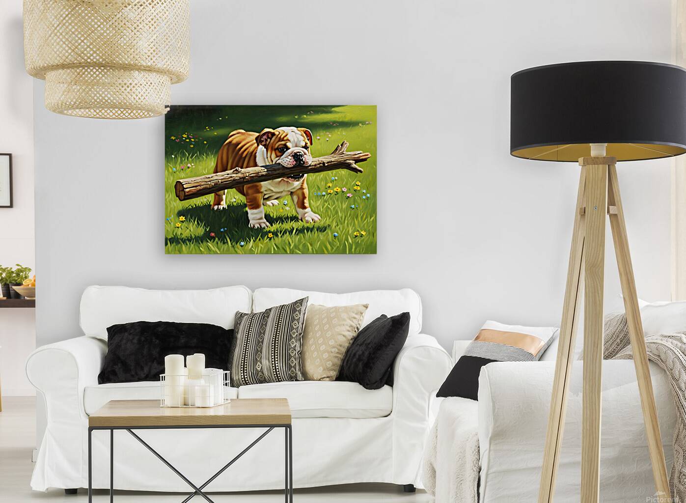 Bulldog Puppy Finds Big Wooden Stick Reproduction