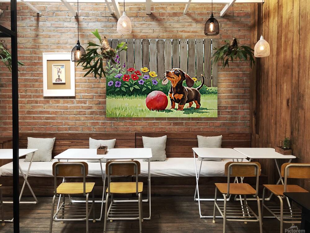 Dachshund Puppy Discovers Giant Red Ball Reproduction