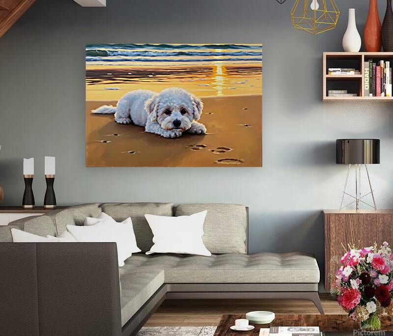 Content Bichon Frise Puppy Rests On Beach Reproduction