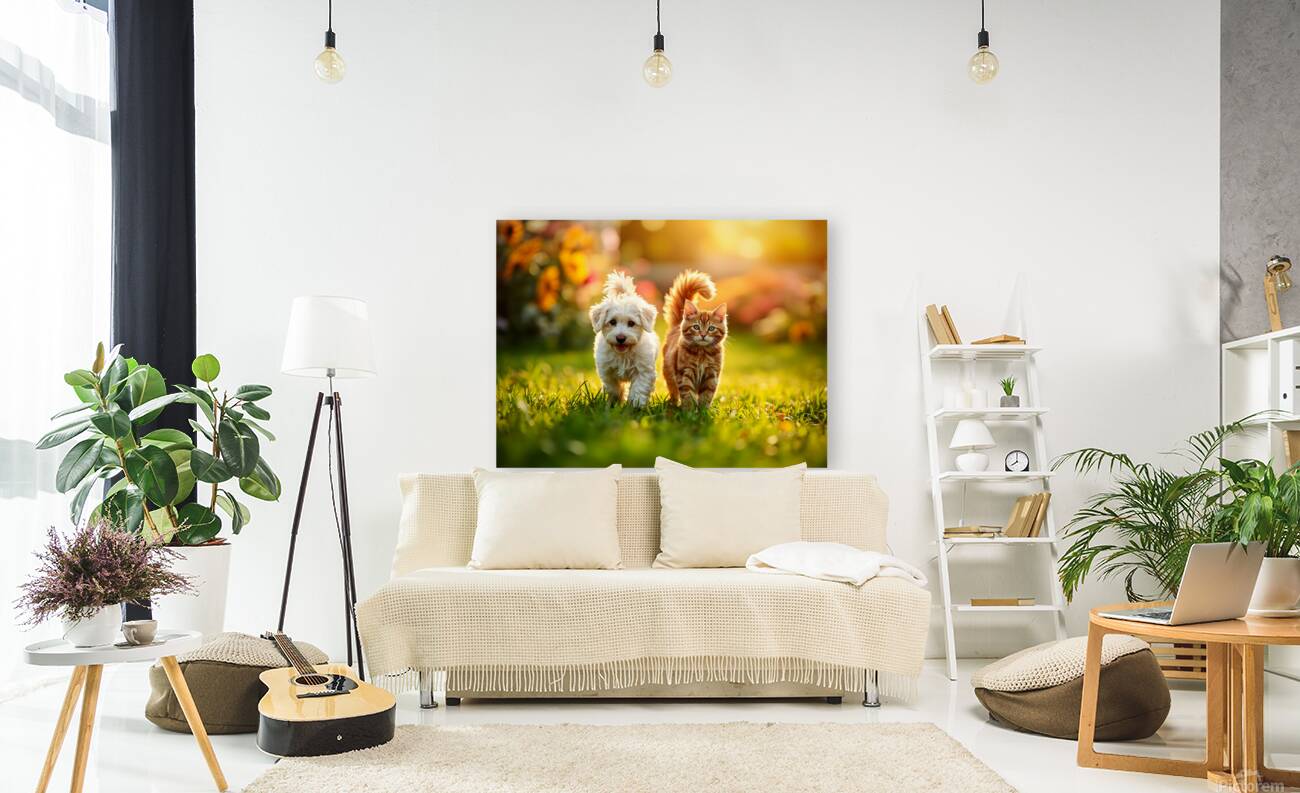 Bichon Frise Puppy And Cat Walk Together As Friends Reproduction