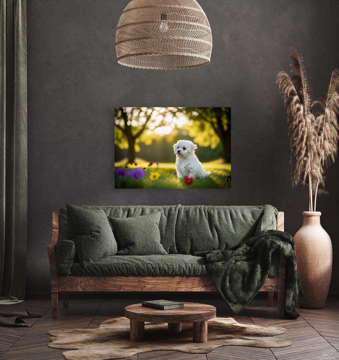 Bichon Frise Puppy Exploring The Garden Alone Reproduction