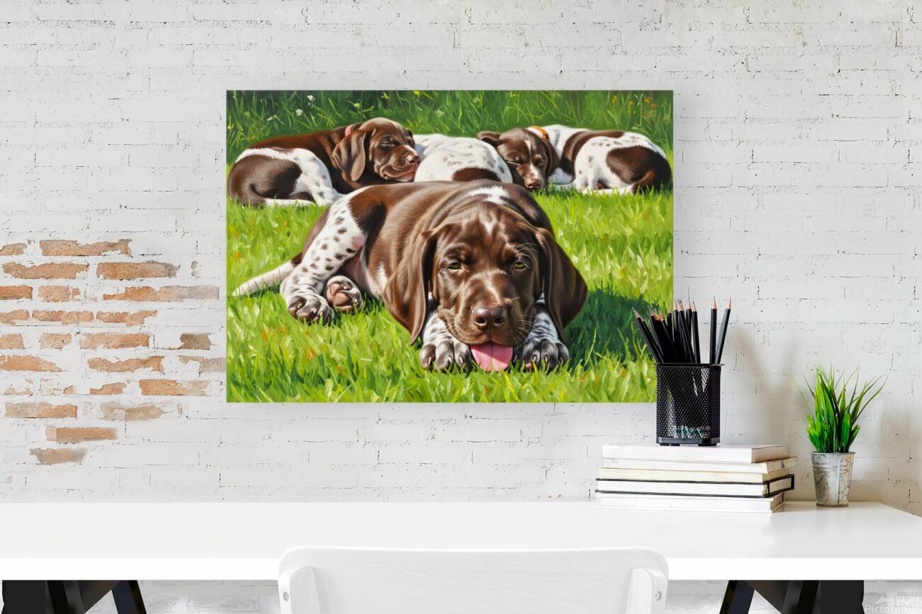 Tired German Shorthaired Pointer Puppy After Playing Reproduction