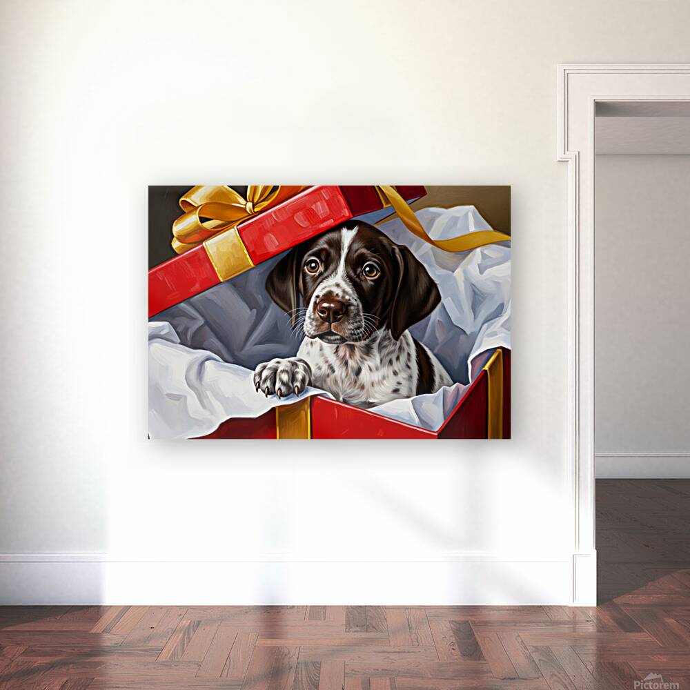 German Shorthaired Pointer Puppy Discovers Big Red Gift Box Reproduction