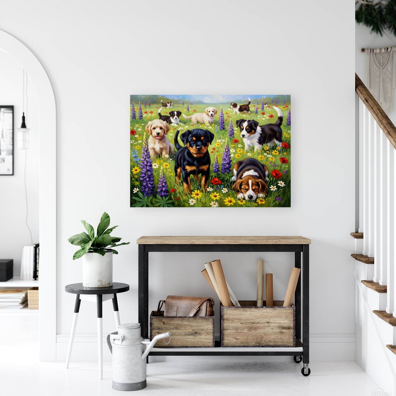 Rottweiler Puppy Discovers Wildflower Field Reproduction