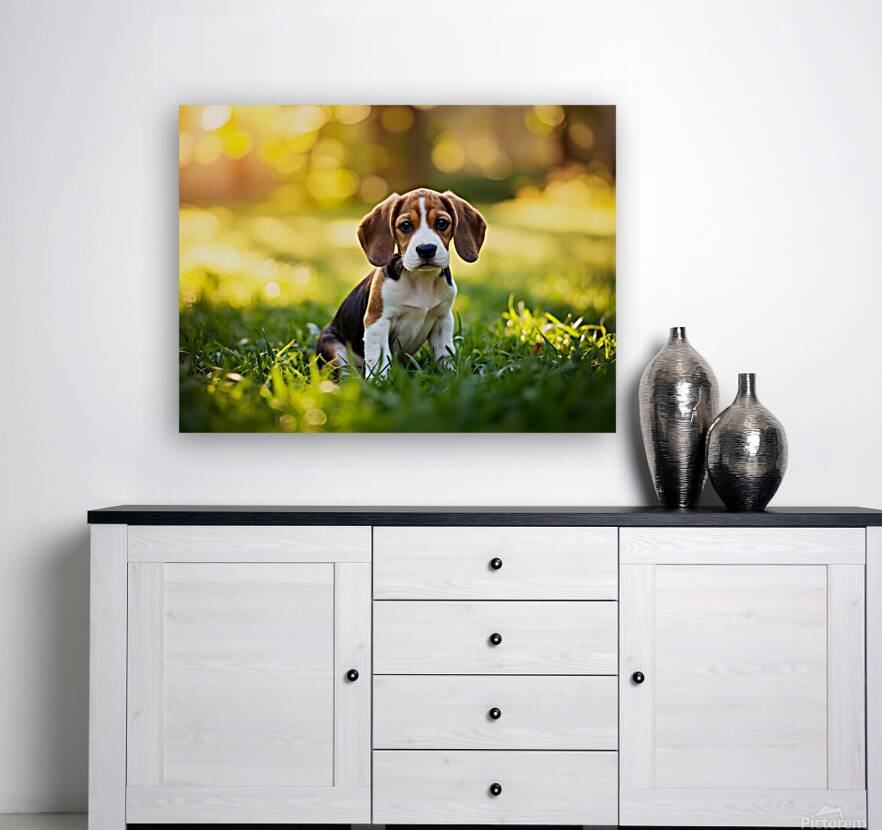 Beagle Puppy Senses Something Strange Behind Him Reproduction