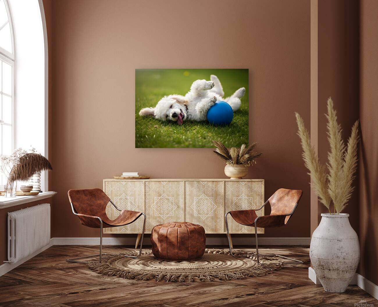 Tired Poodle Puppy Rests After Ball Play Reproduction